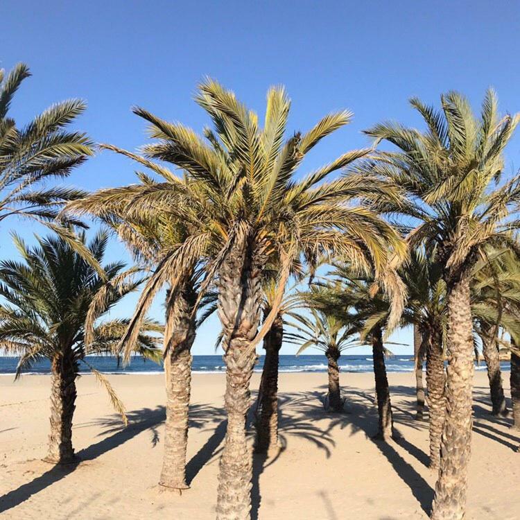 Arenal Dream The Beachfront Paradise Jávea Zewnętrze zdjęcie